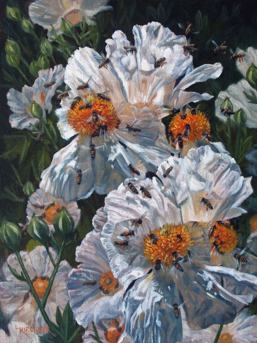 Leslie Kirchner, leslie kirchner artist, wildlife artist, wildlife art, western art, western artist, nature art, nature artist, honey bees, bees, honey bee art, honey bee painting, flying honey bees, flying honey bee art, flying honey bee painting, matilija poppies, matilija poppy, matilija poppy art, matilija poppy painting