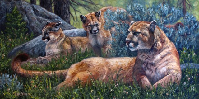 Leslie Kirchner, leslie kirchner art, leslie kirchner artist, wildlife art, wildlife artist, western art, western artist, nature art, nature artisLeslie Kirchner, leslie kirchner art, leslie kirchner artist, wildlife art, wildlife artist, western art, western artist, nature art, nature artist,Cougars, cougars and cougar cubs, mountain lions, mountain cubs, wild cats, 