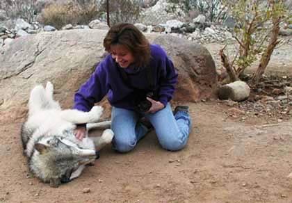 Leslie Kirchner Artist with Wolf