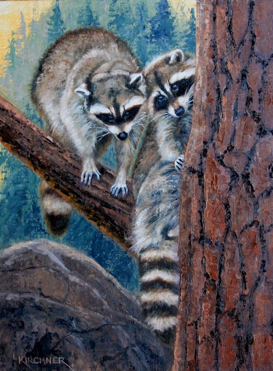 Leslie Kirchner, leslie kirchner art, western art, western artist, wildlife art, wildlife artist, nature art, nature artist, raccoons, raccoons in tree