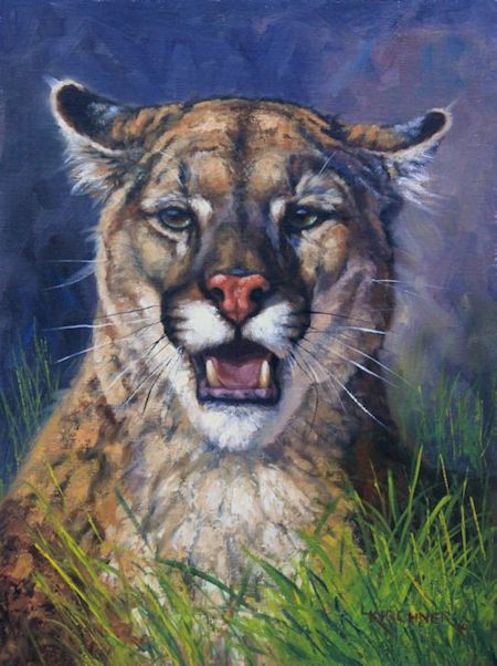 Leslie Kirchner, leslie kirchner art, www.lesliekirchner.com, wildlife art, wildlife artist, nature art, nature artist, western art, western artist, cat, cat art, cat painting, wild cat, wild cat art, wild cat painting, big cat, big cat art, big cat painting, cougar, cougar art, cougar painting, mountain lion, mountain lion art, mountain lion painting