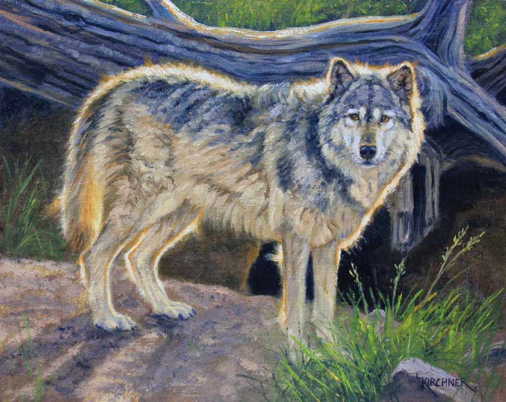 Leslie Kirchner, leslie kirchner, leslie kirchner art, www.lesliekirchner.com, leslie kirchner painter, western art, western artist, wildlife art, wildlife artist, nature art, nature artist, wolf, wolf art, wolf painting,
