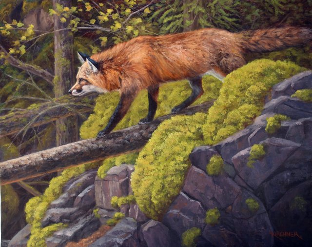 Leslie Kirchner, leslie kirchner art, leslie kirchner artist, wildlife art, wildlife artist, nature art, nature artist, western art, western artist, fox, fox art, fox painting, red fox, red fox art, red fox painting